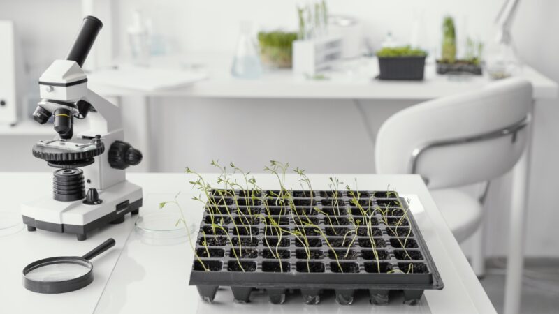 arrangement-with-plants-and-microscope